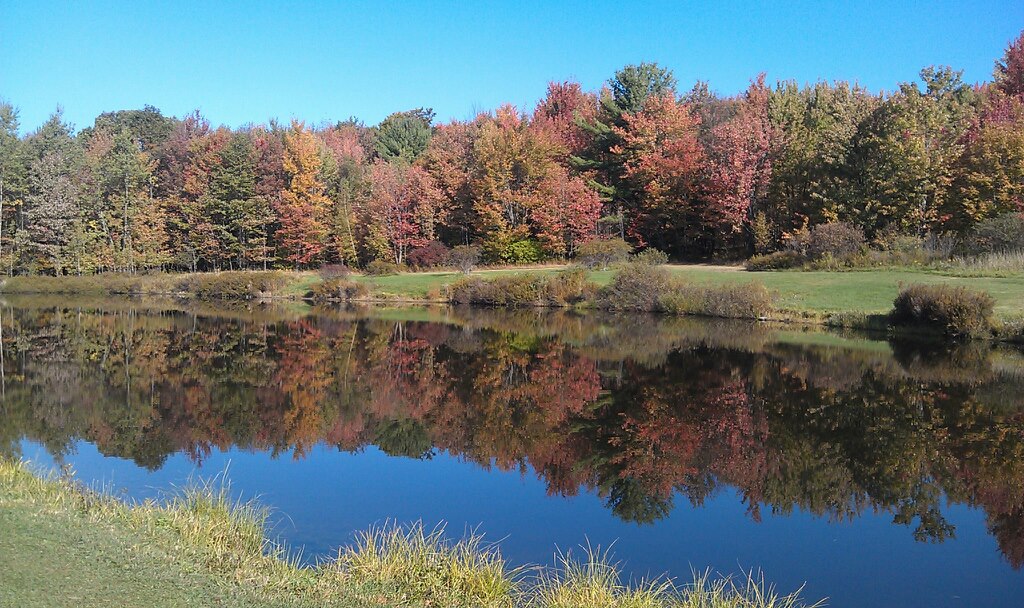 Kellystone Park — photo 6